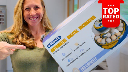Danielle's Hatching Adventure with the Bob's Mailbox Incubator