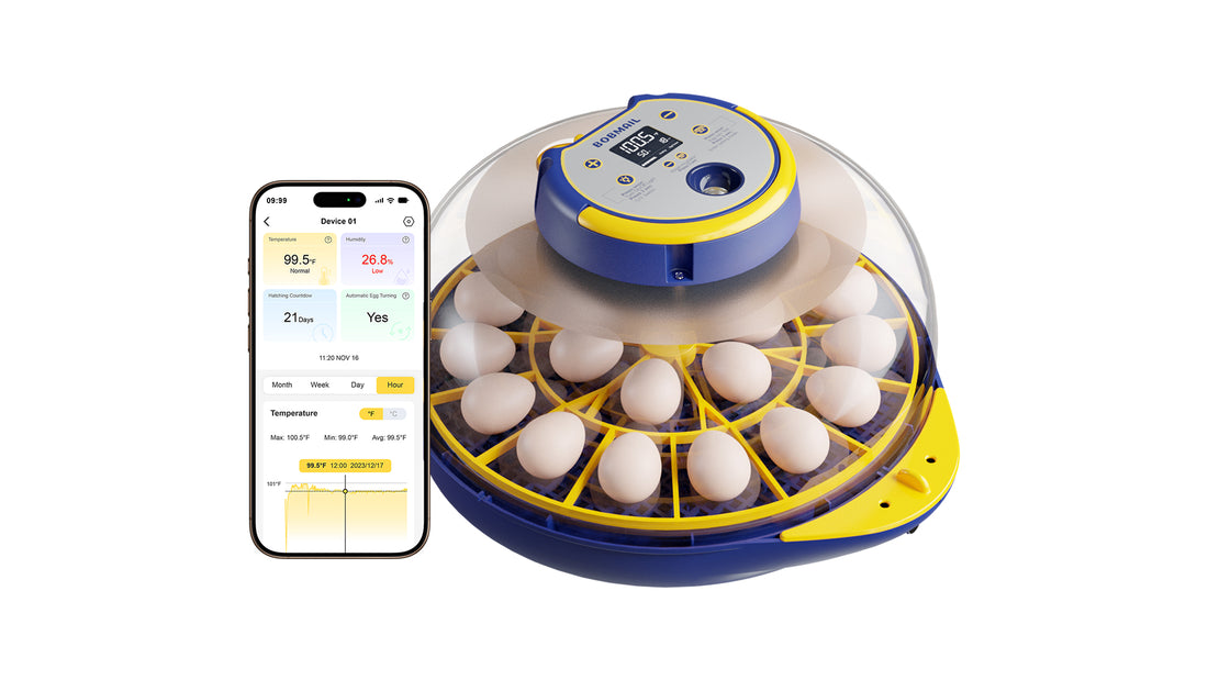 Hatching Eggs Incubator APP control