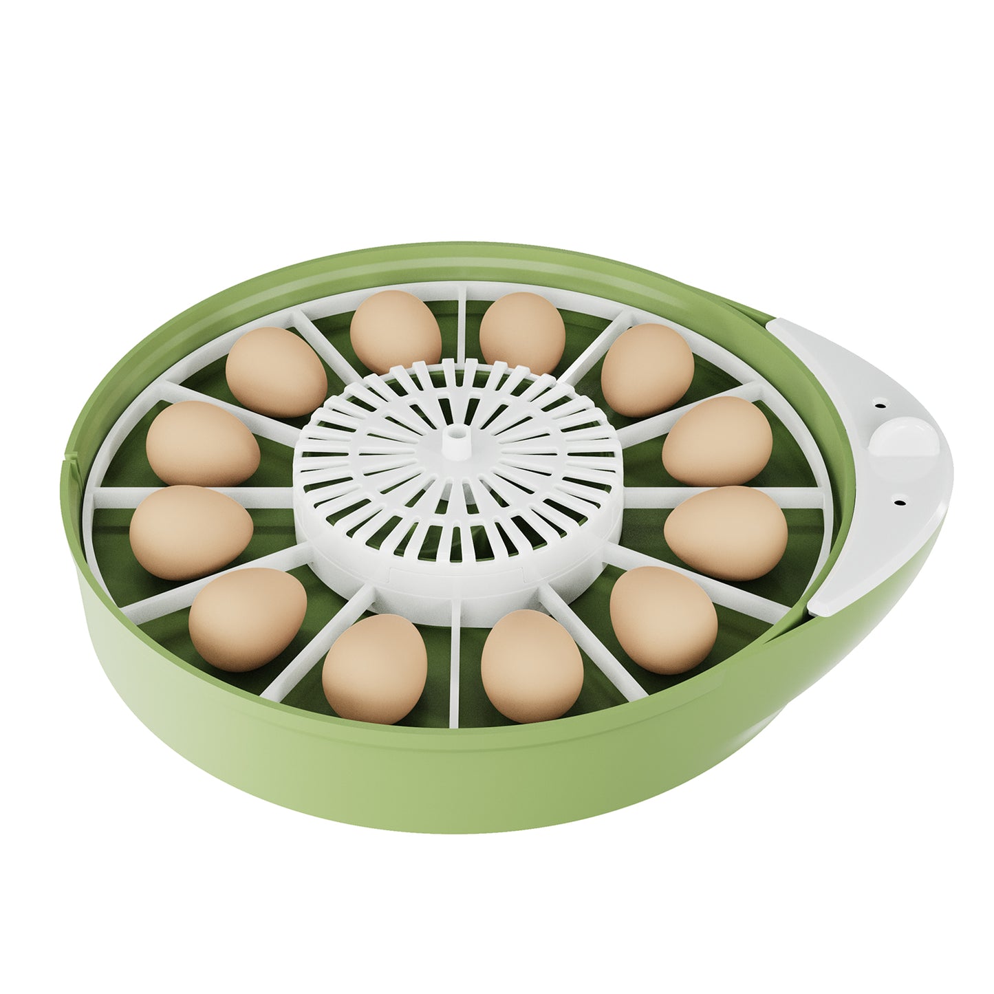 Bobmail Small Egg Incubator (12 Eggs) - Perfect for Beginners