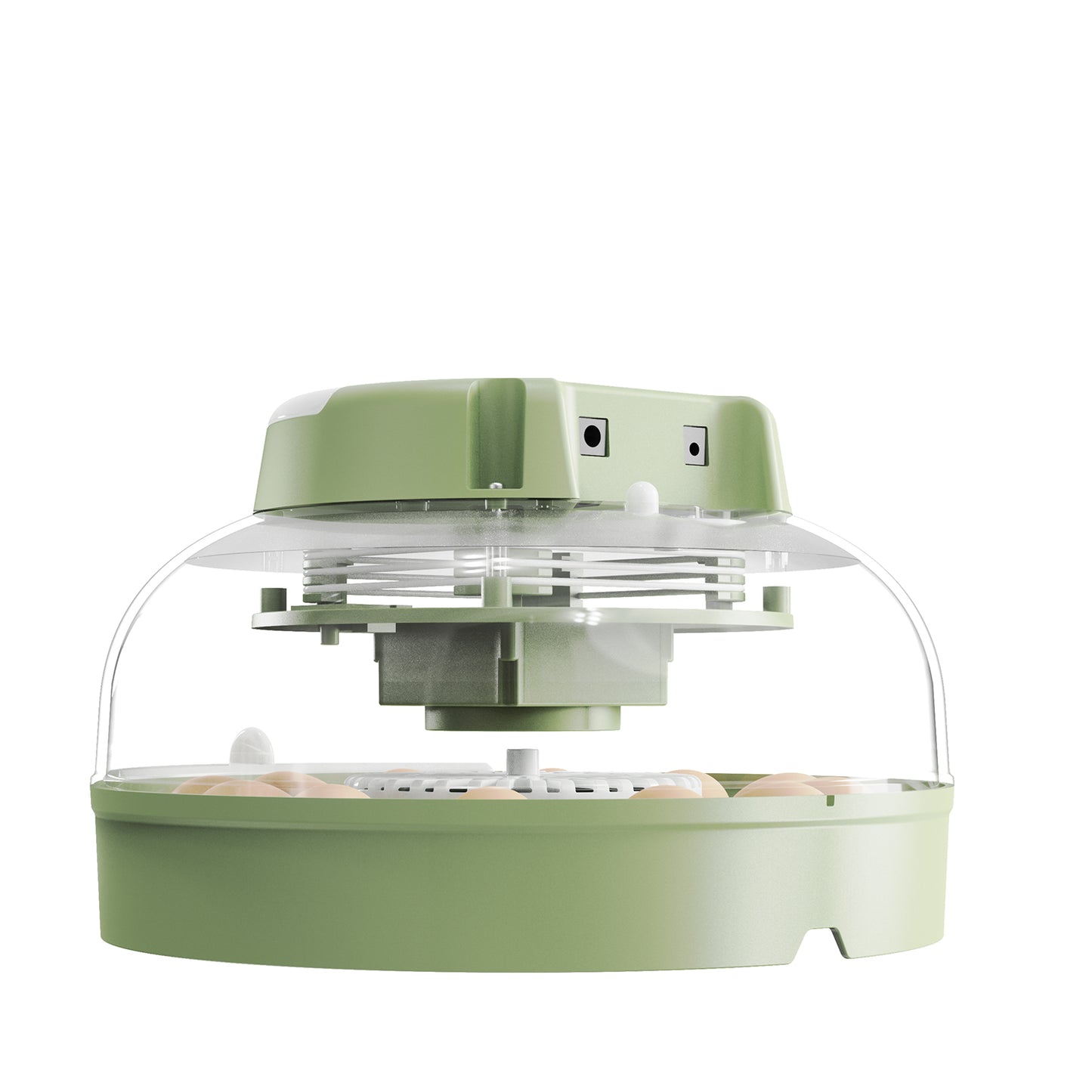 Bobmail Small Egg Incubator (12 Eggs) - Perfect for Beginners