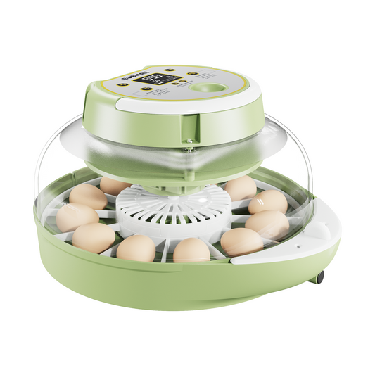 Bobmail Small Egg Incubator with 12 eggs and digital control panel.