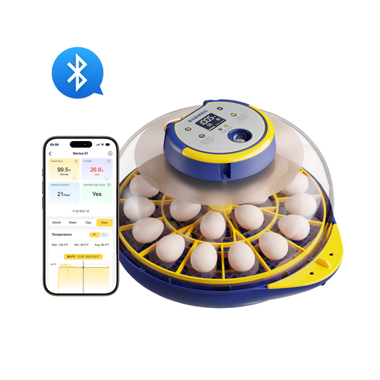 Bobmail C21 Egg Incubator Pro: App Version, Large Size For Sale