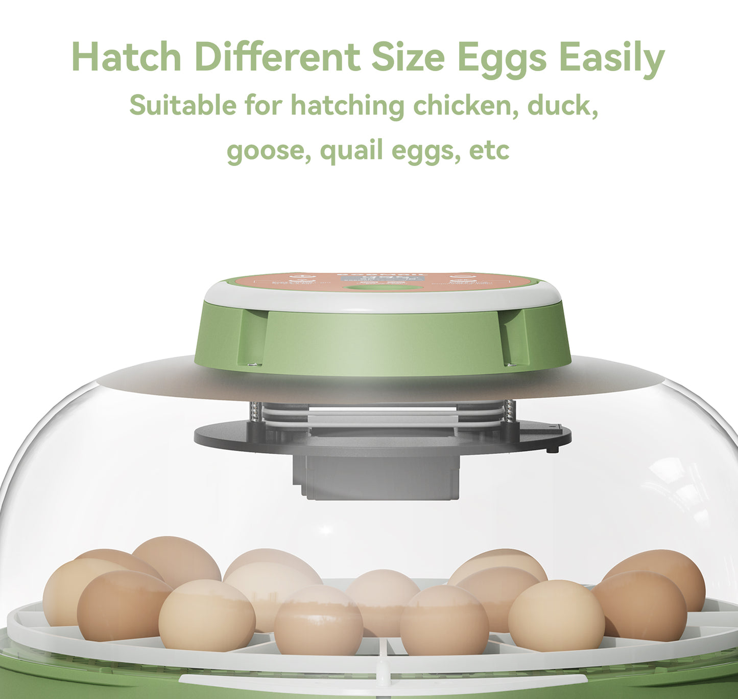 Bobmail C21 Egg Incubator Pro: App Version, Large Size For Sale