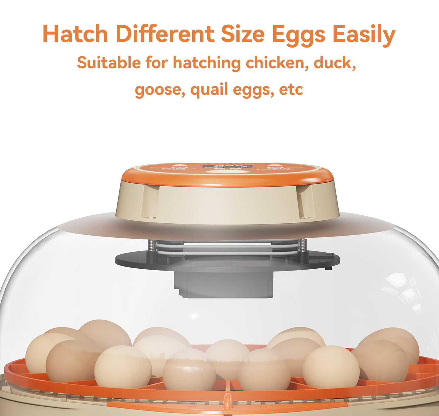 Bobmail C21 Egg Incubator Pro: App Version, Large Size For Sale