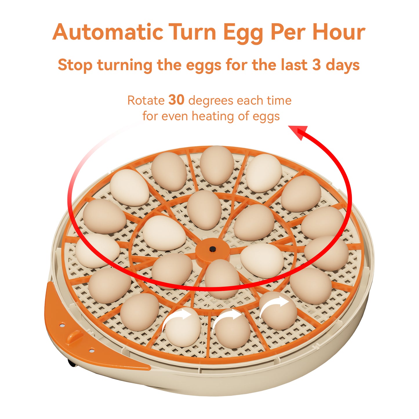 Bobmail C21 Egg Incubator Pro: App Version, Large Size For Sale